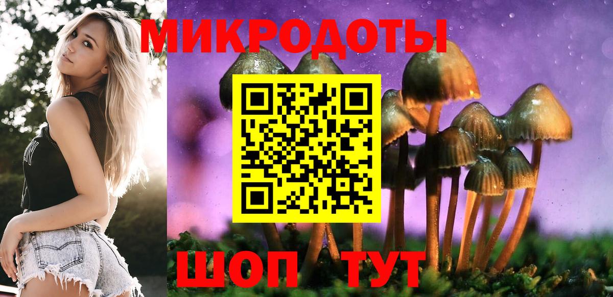 Псилоцибиновые грибы Psilocybine cubensis  Вход с VPN  Курск 