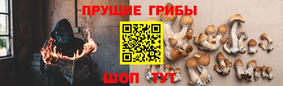 Псилоцибиновые грибы мухоморы Курск